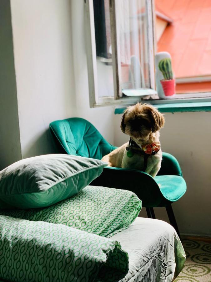 Kazimierz-good Vibes For 7 People! Appartement *